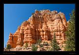 Red Canyon 21